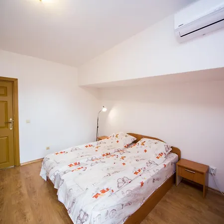 Apartment Aleks Center *