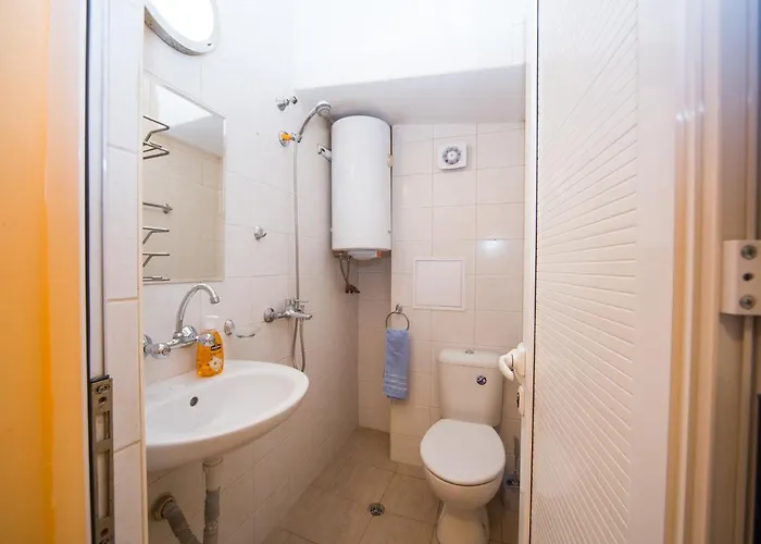 Aleks Center Apartament *