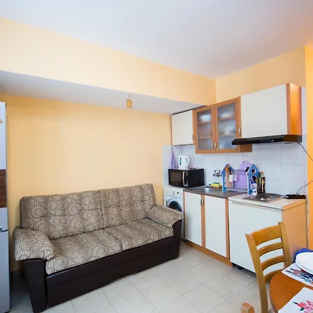 Apartment Aleks Center *